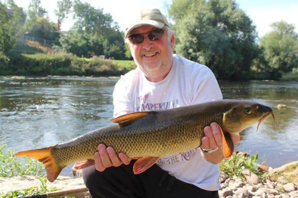 River Wye Barbel - 9