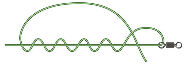 Blood Knot