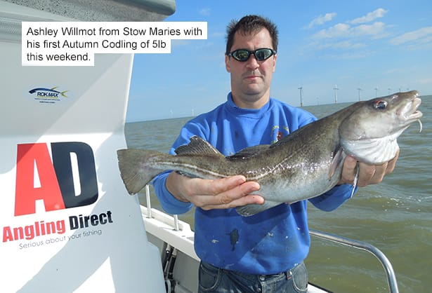 Chinook-Blog-September-2015