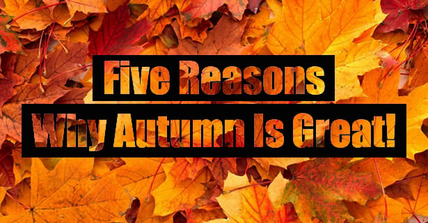 Five Reasons Why Autumn Is Great!
