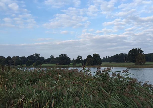 Bream-Fishing-Blicking-2