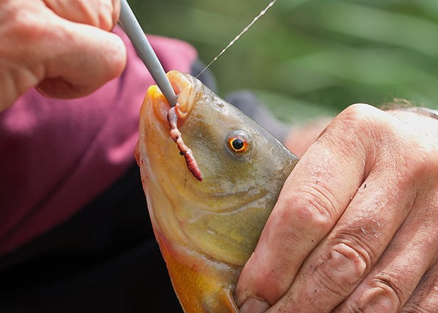 Unhooking-Fish-4