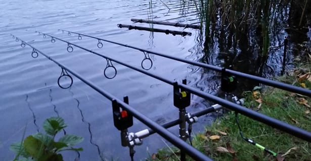 Autumnal Carping - Michael Stewart