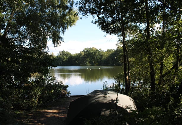Scott-Carp-Fishing-Blog-11