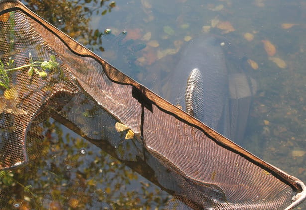Scott-Carp-Fishing-Blog-5