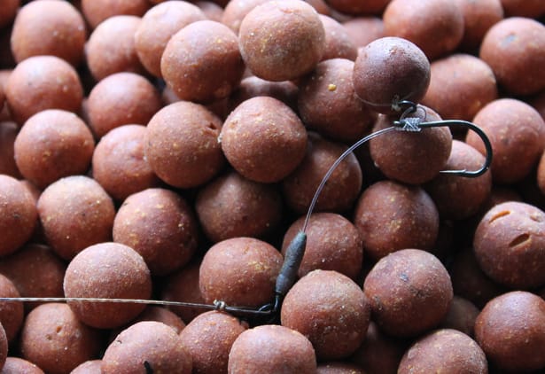 Scott-Carp-Fishing-Blog-6