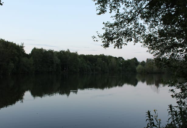 Scott-Carp-Fishing-Blog-8