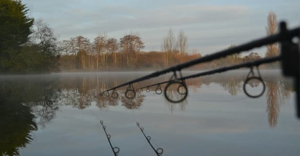 New Year Carpin' Social - Ryan Hawes
