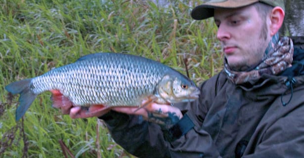3lb 12oz Monster River Roach!