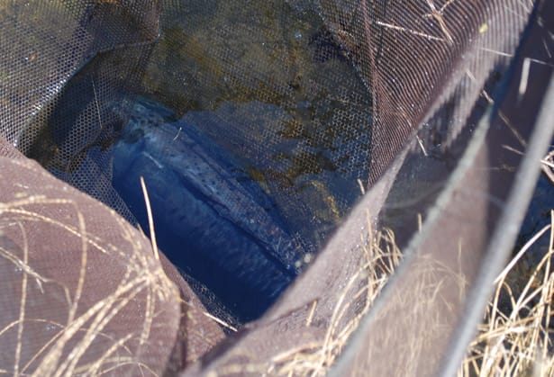 ESP-Sniper-Landing-Net