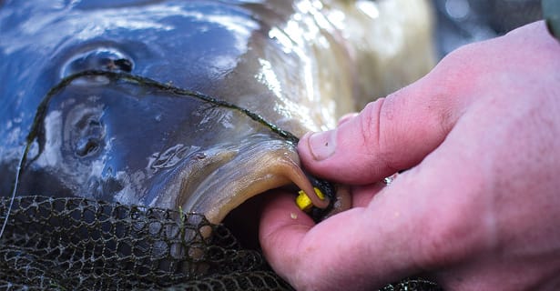 Getting ziggy with it! Zig-rig Secrets From Gardner's Alan Stagg