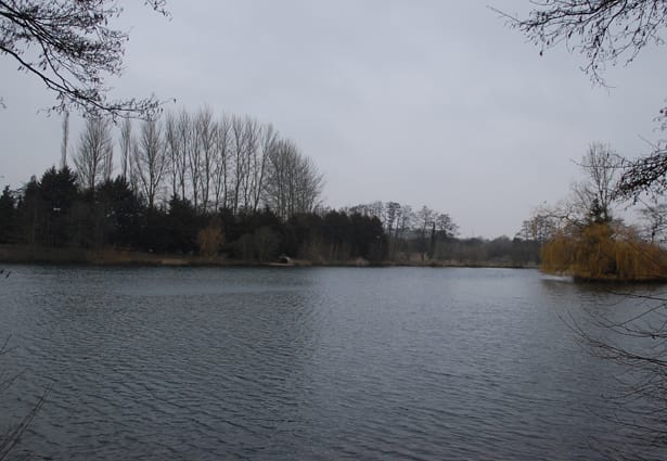 Rob-Shanks-Carp-Fishing-Diary-2