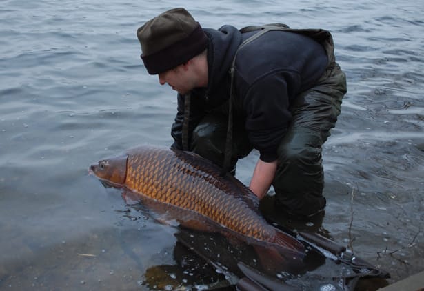 Rob-Shanks-Carp-Fishing-Diary-9