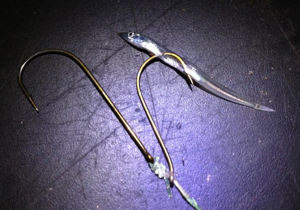 Smallest-Fish-Competition