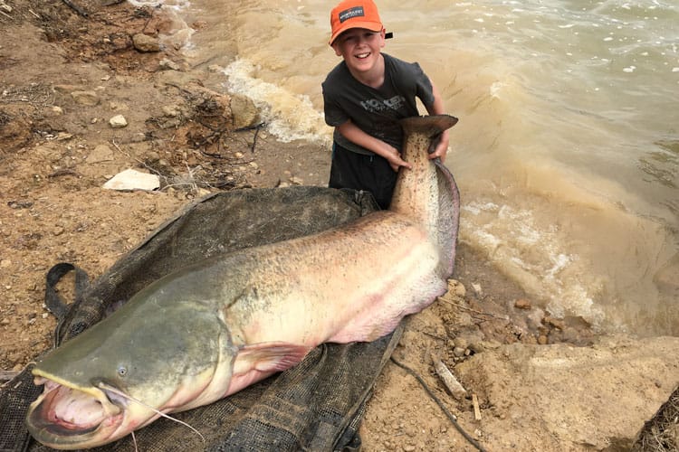 spain-catfish-capers-ebro-27-05-2016-6