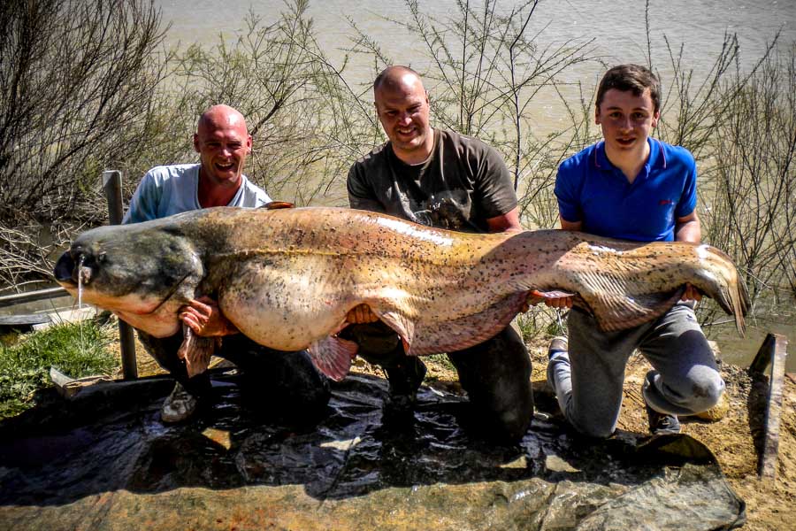 spain-catfish-capers-ebro-g-1