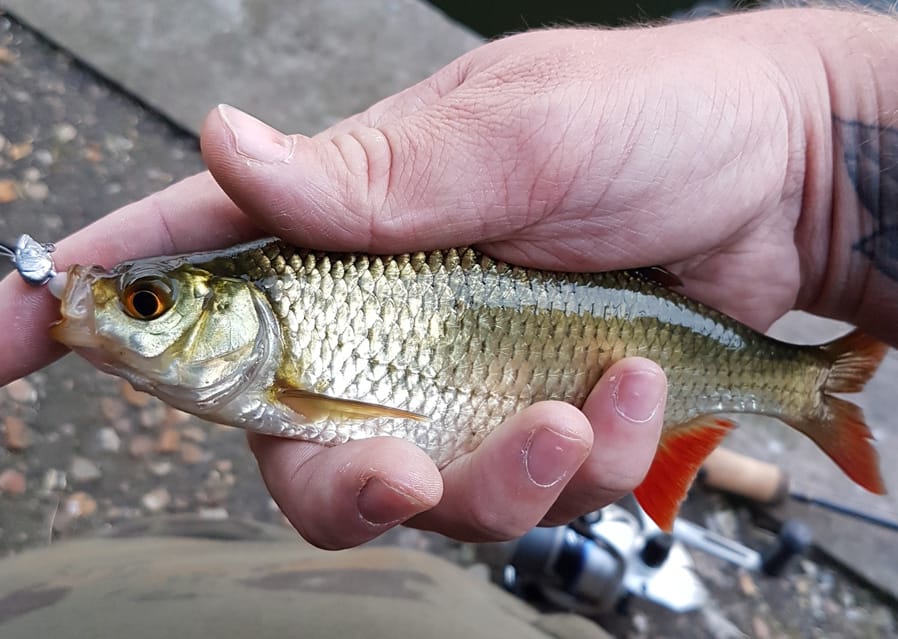 Jigging-3