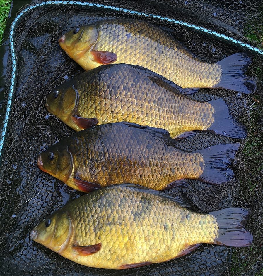 Catch a Crucian Month - The Winners!