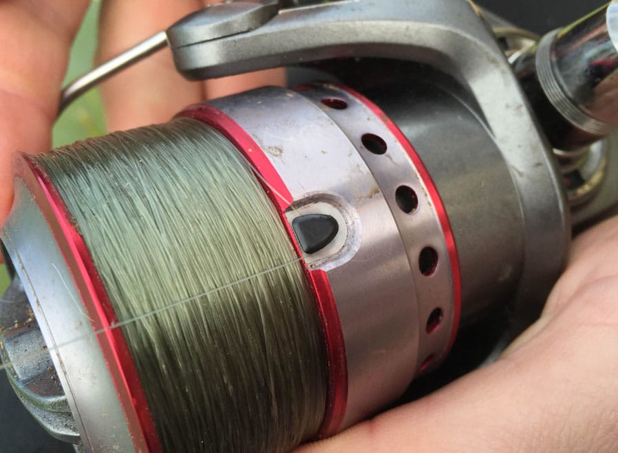 Bream-Fishing-11