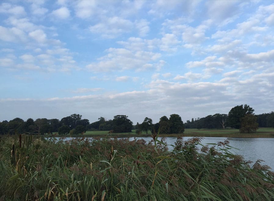 Bream-Fishing-12