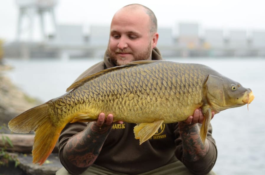 KOTC-2015-Carp-3