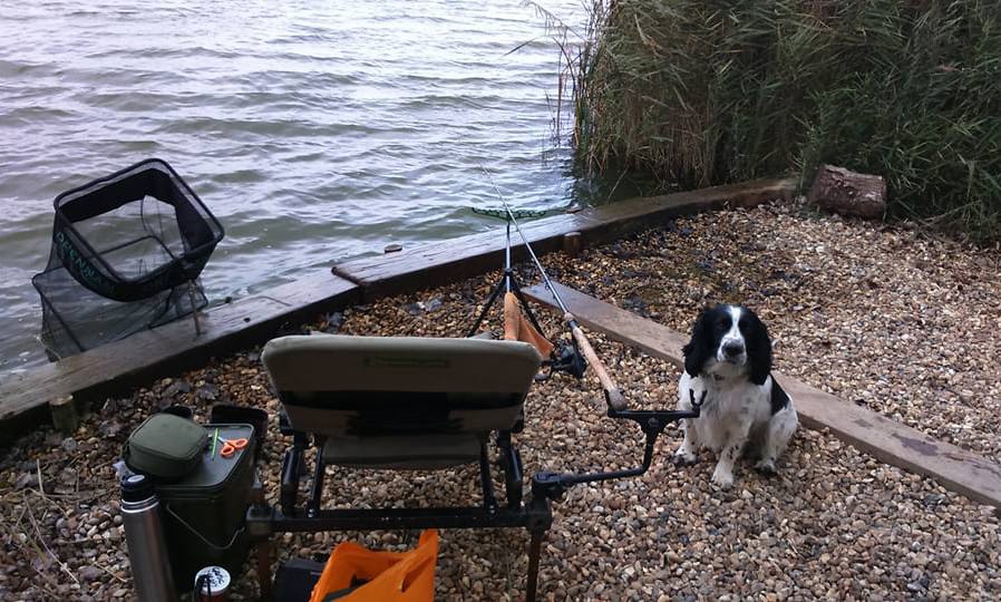 Autumn Feeder Fishing - Richard Howland