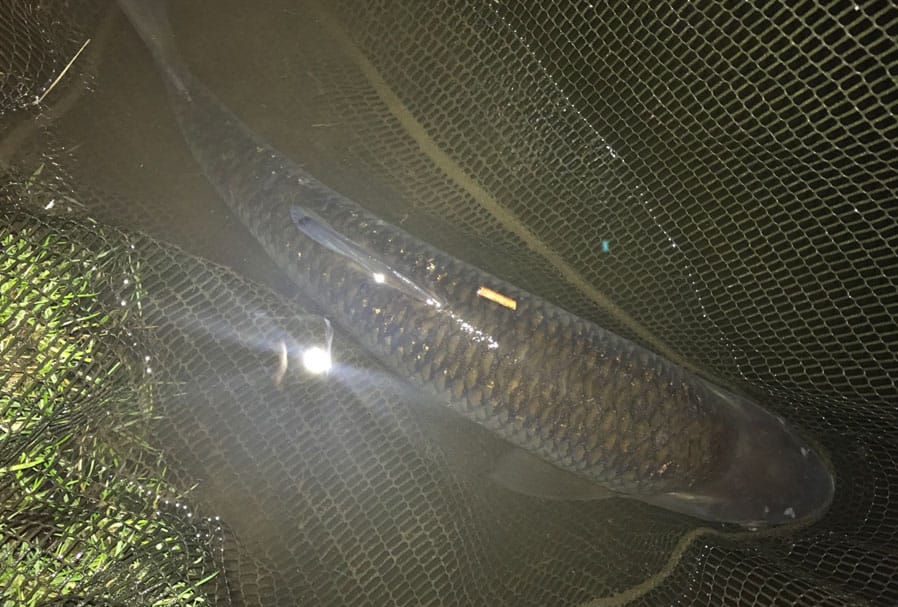 river-fishing-2