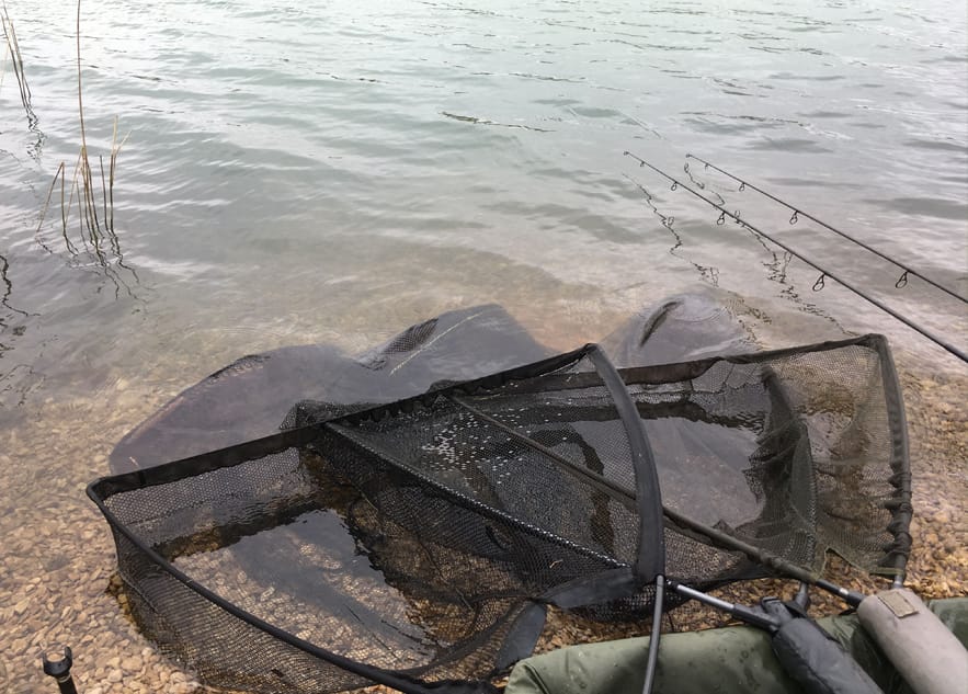 Match-Style Carp Angling on B2 - Andrew Grant
