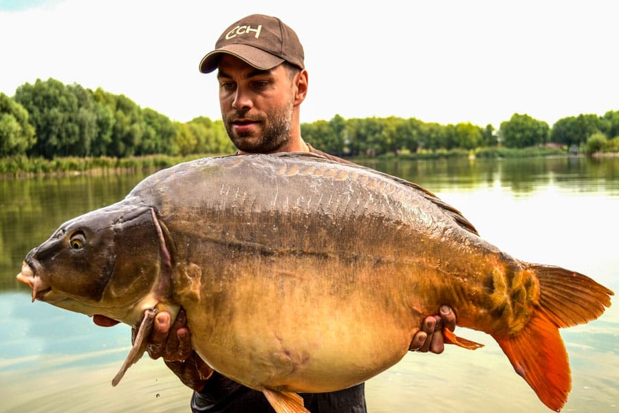 paradise-lake-carp-fishing-hungary-g-13