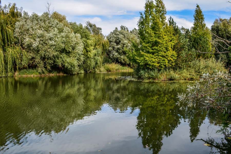 hungary-carp-fishing-neverland-lake-g-8