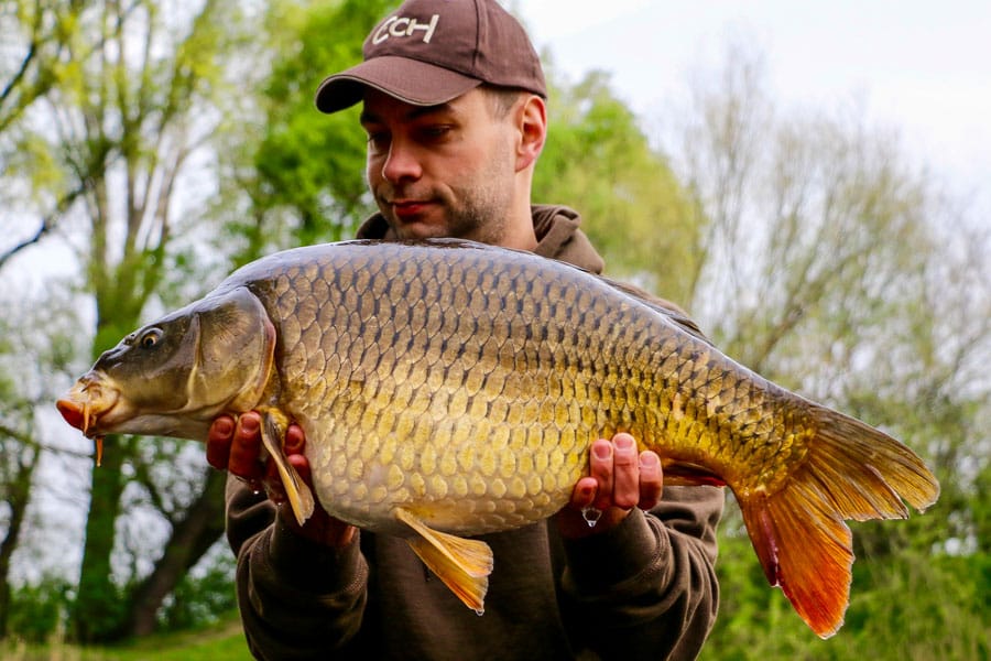 hungary-carp-fishing-neverland-lake-g-9