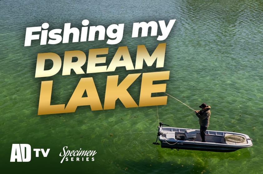 Specimen Series – Fly Fishing For Big Trout With Phil Spinks