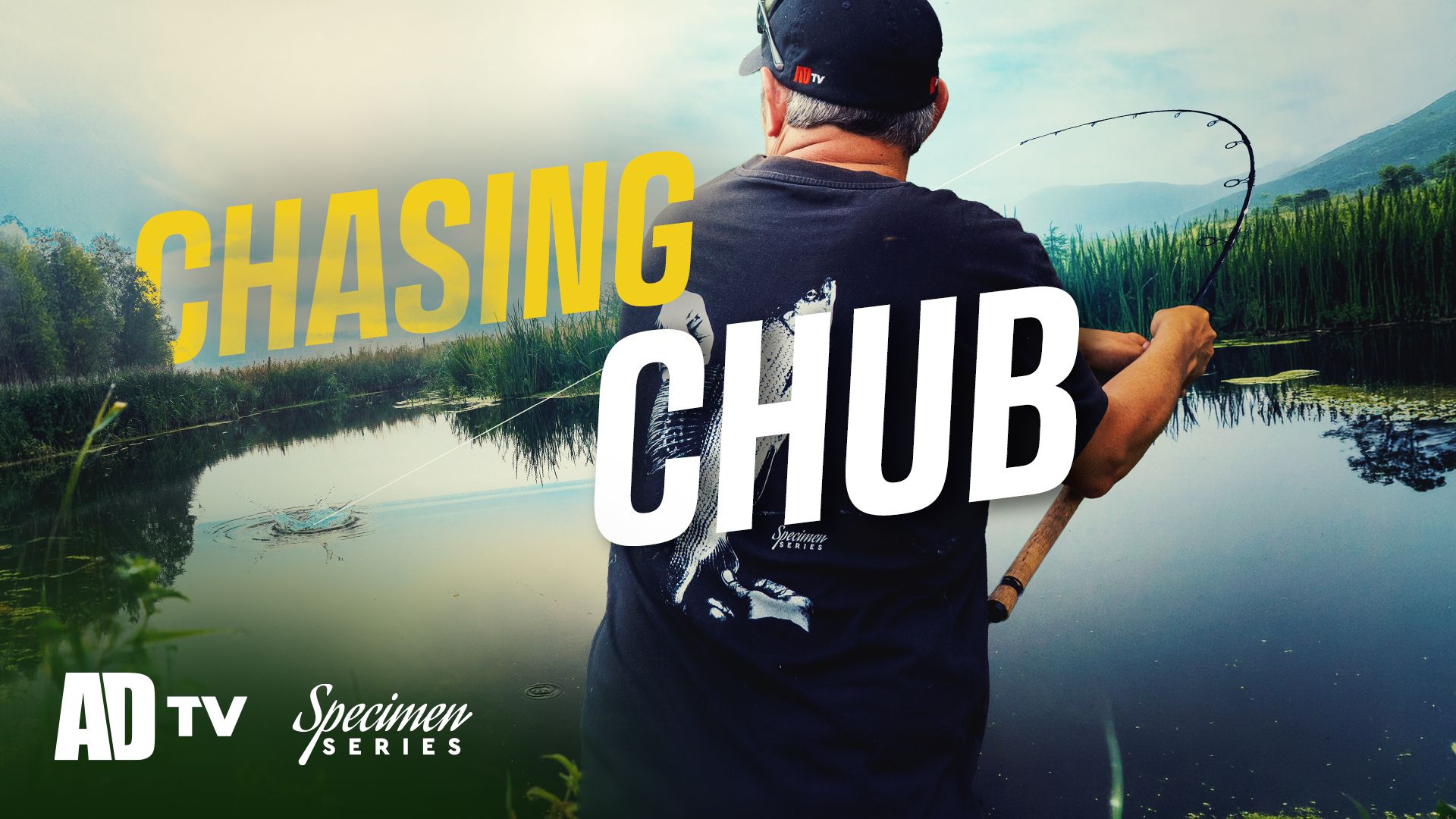  Chub fishing the MOST exciting way - watching chub take bread off the surface - ADTV - Specimen Series