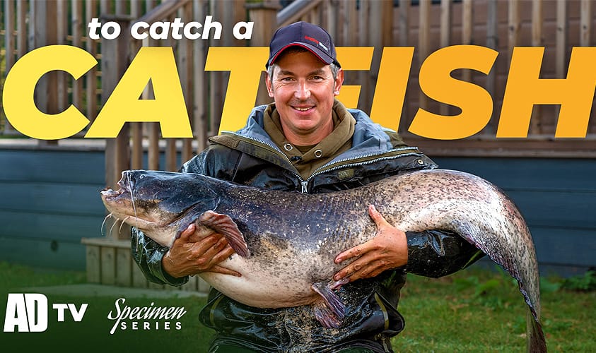 ADTV Specimen Series - How To Catch Catfish