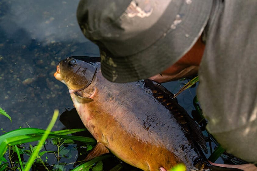 Nash Borrowed Time III - Chasing An Angling Dream!