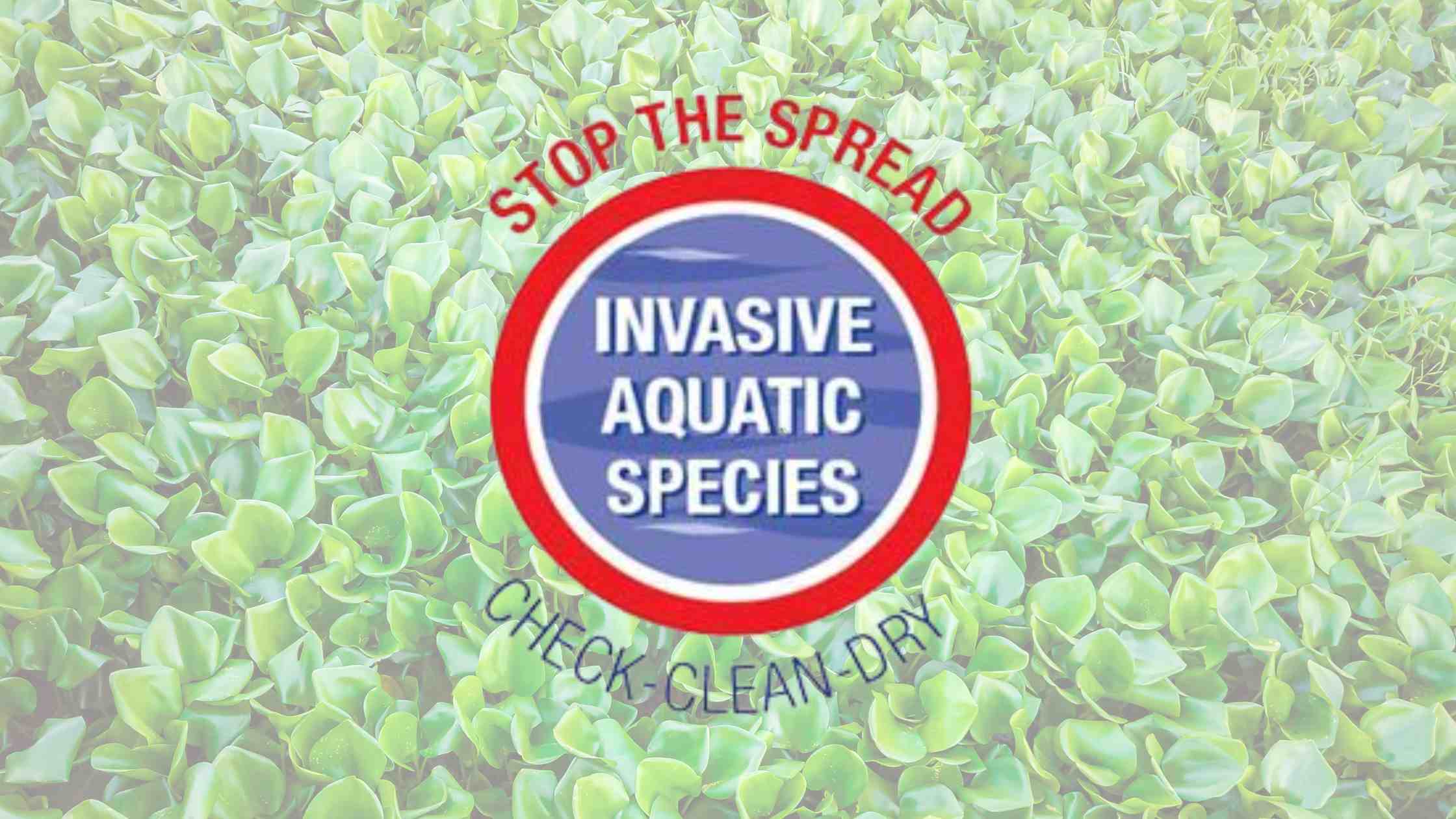 Angler's Role in Combating UK Invasive Species