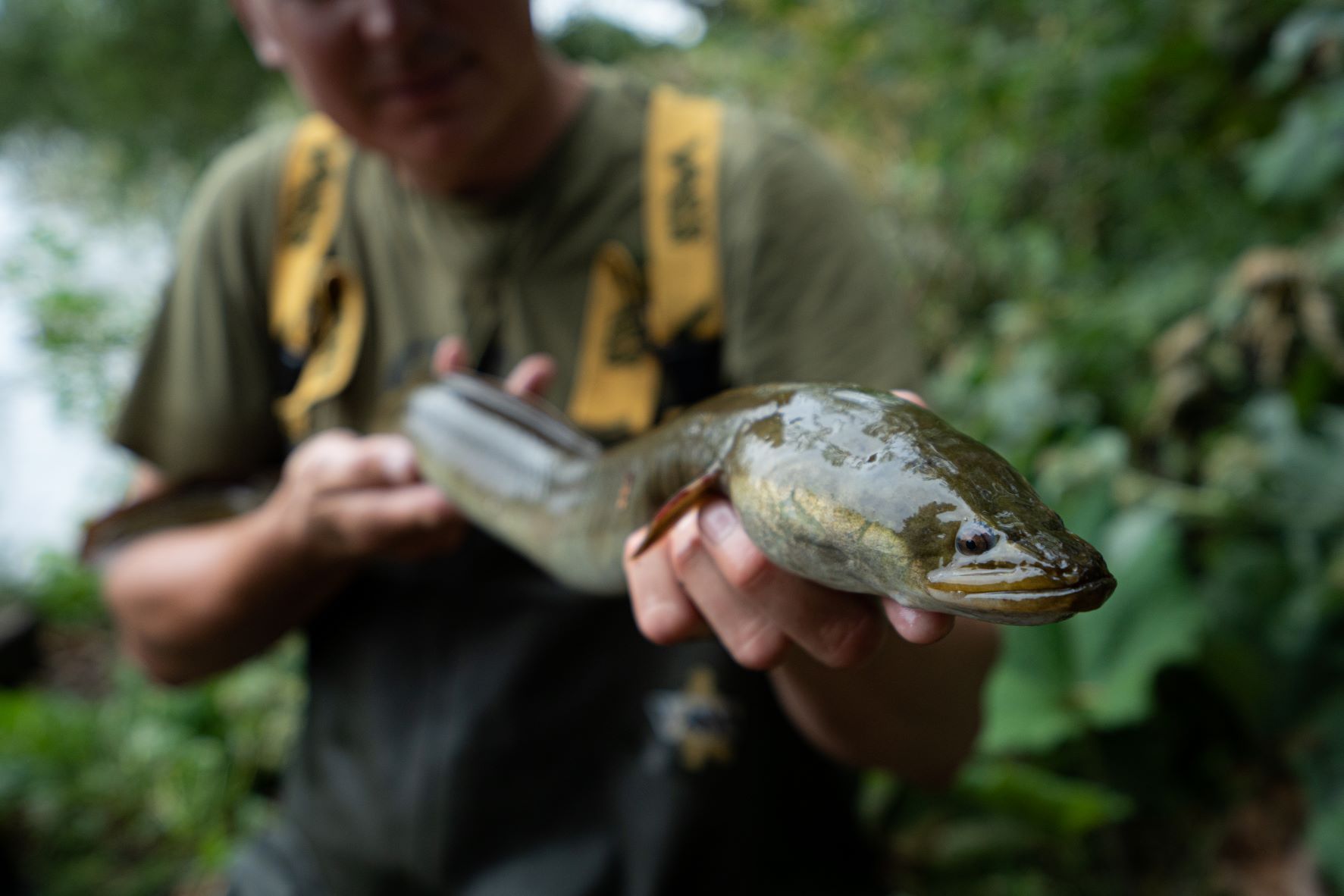 The Ultimate Eel Fishing Guide – With Phil Spinks