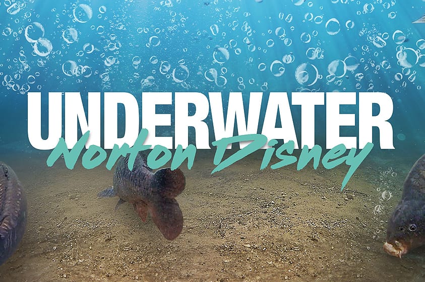 Korda Underwater - Norton Disney 