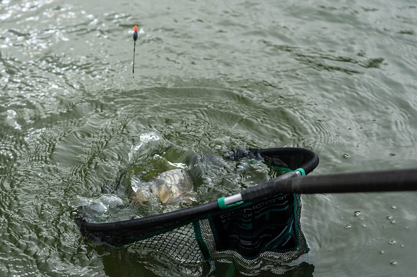 How to Become a Master at Shallow Fishing! 