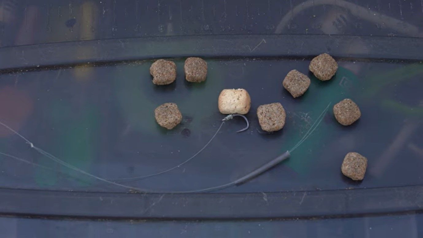 How To Set Up And Use Adjustable Zigs - Carp Fishing Quickbite