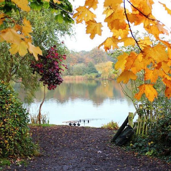 Autumn Carp Fishing, UK - Tips & Tricks