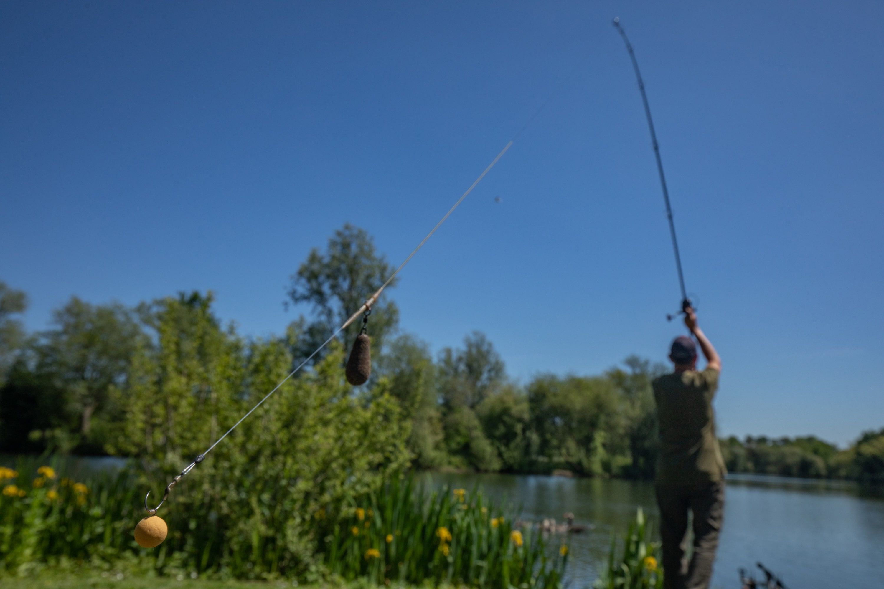 Discover the Best Bait for Carp Fishing This Summer