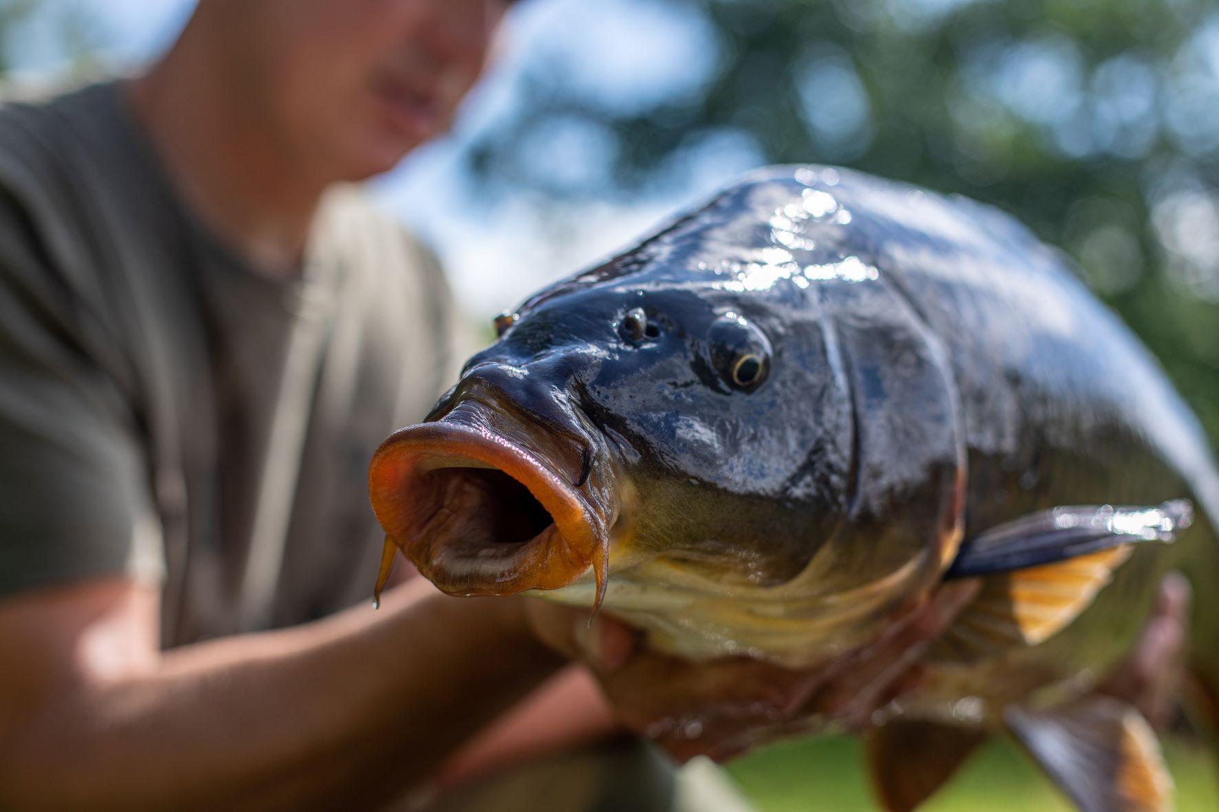 The Ultimate Guide to Carp Fishing Bait – PART 2