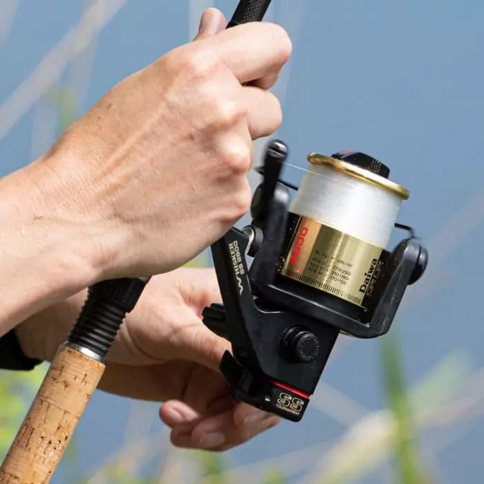 Daiwa Tournament SS2600 Whisker Reel - Wednesday Review