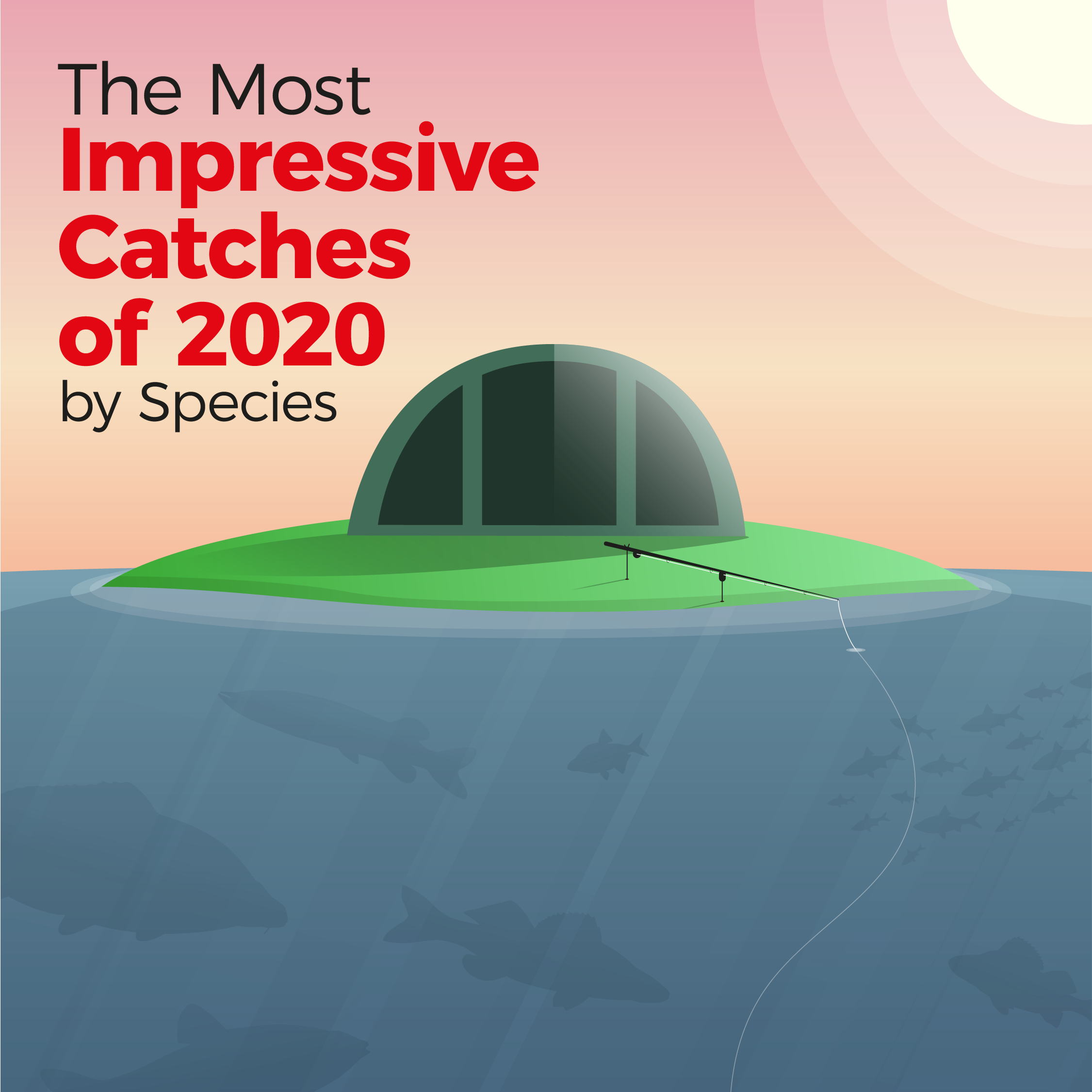 The Most Impressive Catches of 2020 by Species