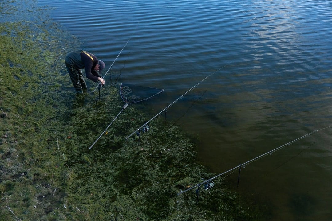 Carp Fishing in Weed: Top 5 Tips for Successful Angling