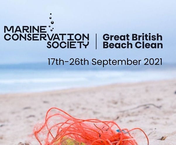 The Great British Beach Clean – How Anglers Can Help