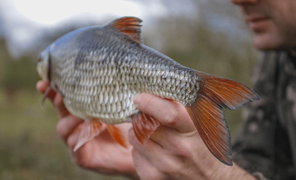 5 Ways that Angling Relieves Stress 