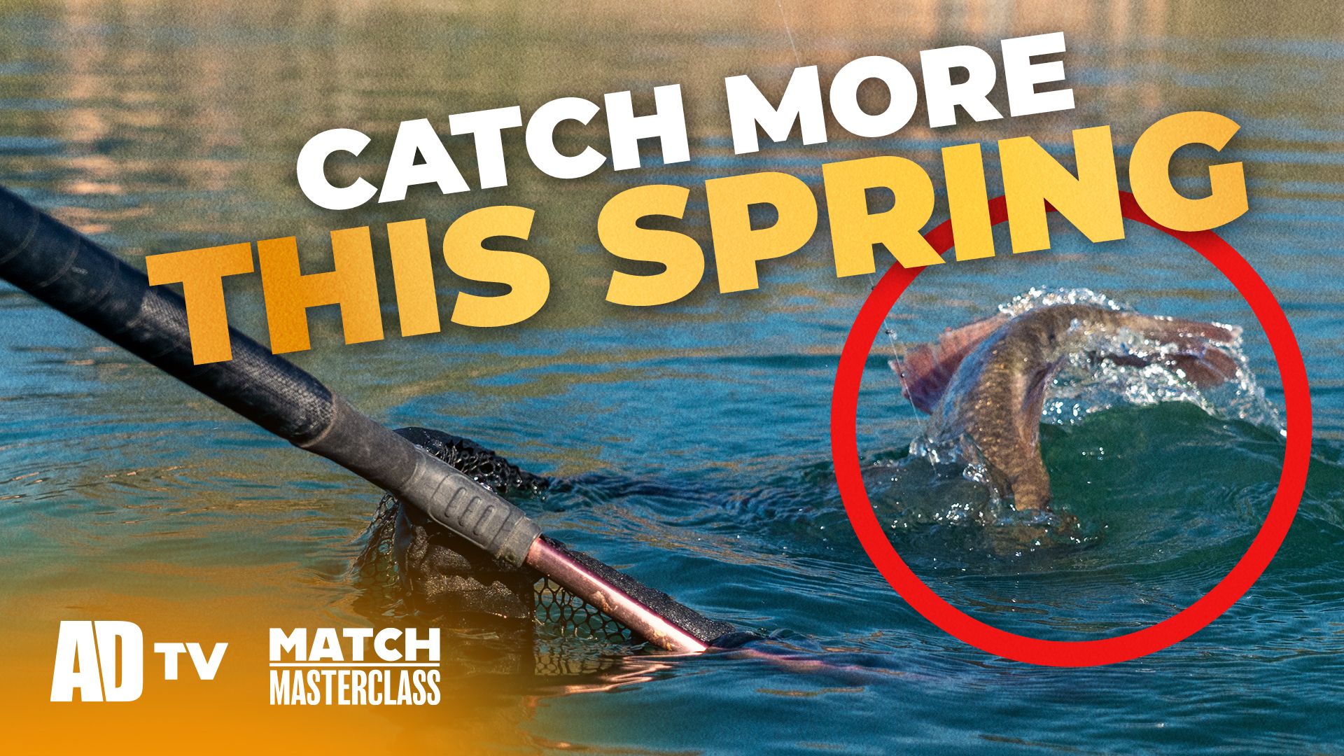 Match Masterclass - Complete Guide to Soft Pellet Fishing 