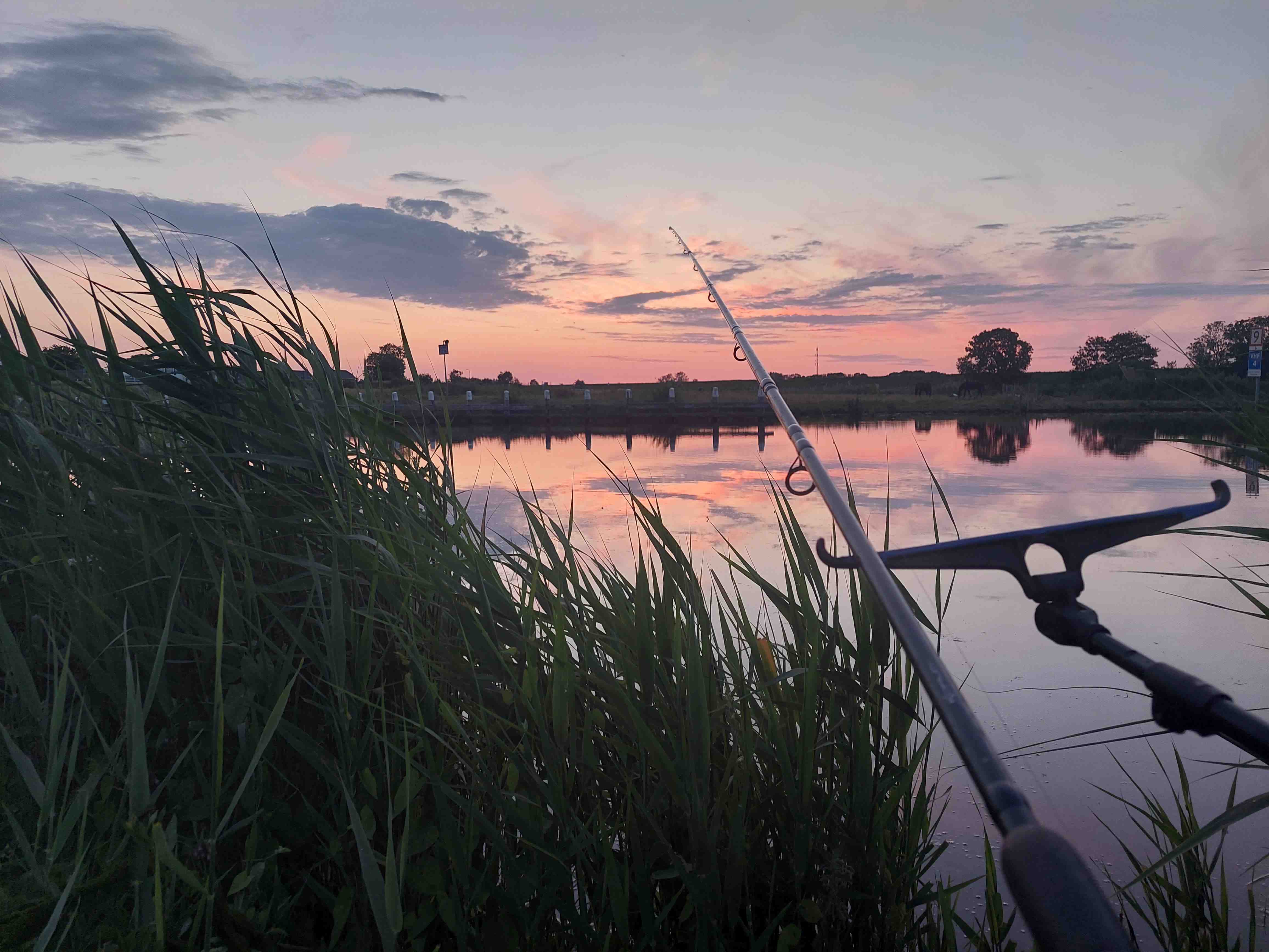 Reeling in Happiness: Benefits of Sharing the Joy of Fishing
